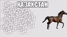 a brown horse is walking in front of a flock of white birds with the word kazakstan written on it
