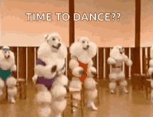 Dance Poodle GIF - Dance Poodle Dogs GIFs