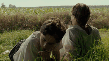 Call Me By Your Name Call Me By Your Name2017 GIF - Call Me By Your Name Call Me By Your Name2017 Timothee GIFs