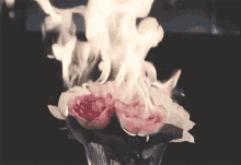 Burning Roses Fire GIF - Burning Roses Fire Flames GIFs