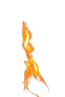 a drawing of a flame that looks like a snake on a white background