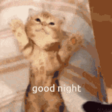 Bed Time GIF - Bed Time Sleep GIFs