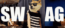 Swag Dogecoin GIF - Swag Dogecoin Doge GIFs
