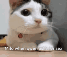 Milo Owen GIF - Milo Owen Clayton GIFs