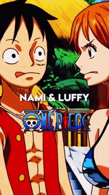 Nami Monkey D Luffy GIF