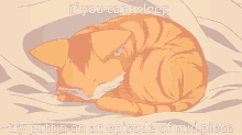 Mid Piece How To Sleep GIF - Mid Piece How To Sleep Cat GIFs
