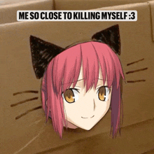 a picture of a girl with cat ears and the caption " me so close to killing myself 3 "
