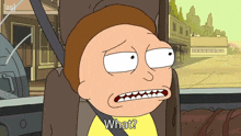 What Morty Smith GIF - What Morty Smith Rick And Morty GIFs