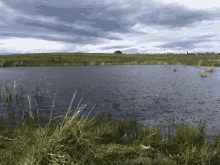 Pond Tranquil GIF - Pond Tranquil GIFs