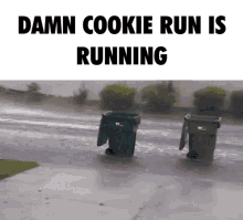 Cookie Run Cookie Run Kingdom GIF - Cookie Run Cookie Run Kingdom Cookie Run Ovenbreak GIFs
