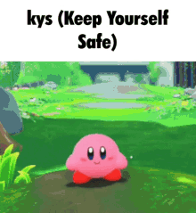 Kirby Kys GIF