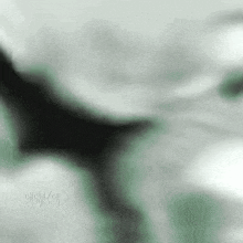 it looks like a painting of a bat flying in the sky .
