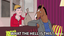 What The Hell Is This Will Arnett GIF - What The Hell Is This Will Arnett Bojack Horseman GIFs