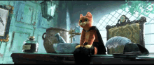 a cat in a cape sits on a table next to a bottle that has the number 27k on it