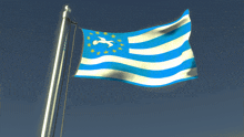 a blue and white flag with a white dove on it