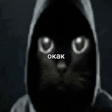 a black cat wearing a hooded jacket with the word okak written on it