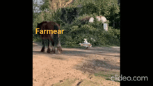 a horse is walking down a dirt road with the word farmear written on the bottom