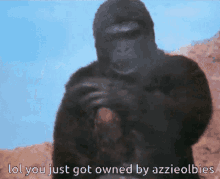 Monkey Middle Finger GIF - Monkey Middle Finger Flipping Off GIFs