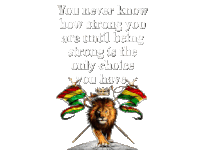 a picture of a lion with a crown and flags