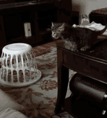 a cat is playing with a laundry basket on the floor