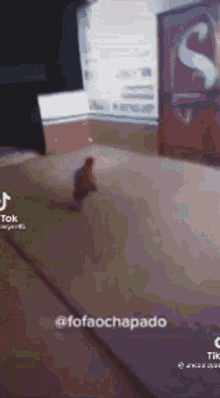 a person is walking on a carpeted floor in a room with a sign that says s on it .