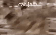 Catjam Fart GIF - Catjam Fart Pepe Overheat GIFs