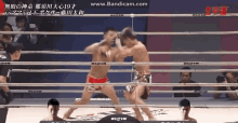 counterpunch knockout tenshin nakazawa mayweather