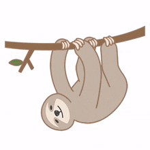 sloth smile happy climb break
