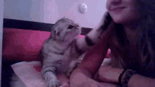 Kiss Me GIF - Kiss Me Cats Attention Whore GIFs