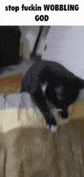 Wobble Wobble Cat GIF - Wobble Wobble Cat Caption GIFs