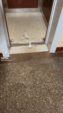 a dirty elevator with a rope hanging out of the door