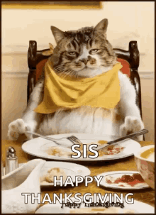 Thanksgiving Cat GIF - Thanksgiving Cat Dinner GIFs