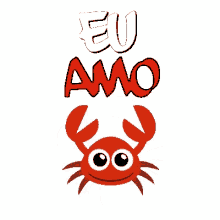 toudigital caranguejo fgrcosta euamocaranguejo crab