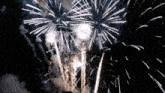 a bunch of fireworks in the night sky