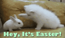 Hey Its Easter Tap Head GIF