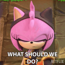 What Should We Do Amy Rose GIF - What Should We Do Amy Rose Sonic Prime GIFs