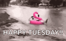 a person is riding a pink flamingo float in a river .