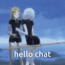 two anime girls are standing next to each other on a railing and the words hello chat are above them .