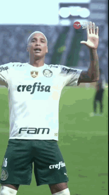 Palmeiras GIF - Palmeiras GIFs