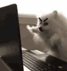 Angry Typing GIF - Angry Typing Office GIFs