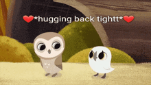 Owlie Hug Tightttt GIF - Owlie Hug Tightttt GIFs