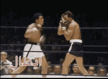 two men are fighting in a boxing ring with arabic writing