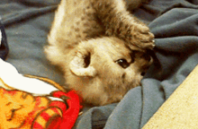 Sleep Tight Goodnight GIF - Sleep Tight Goodnight Bed Time GIFs