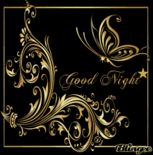 Good Night Star GIF - Good Night Star Butterfly GIFs