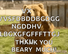 Bear Byebear GIF