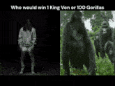 a picture of a man next to a picture of gorillas