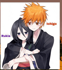 rukia and ichigo from bleach are hugging each other in a hug .