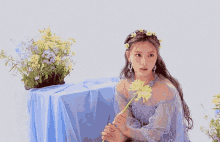eunchae eunchae kpop eunchae dia