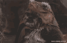 Ewok Confused GIF - Ewok Confused Confusion GIFs