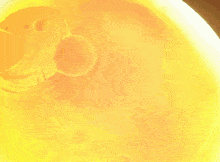 a silhouette of a dragon in front of a bright yellow background